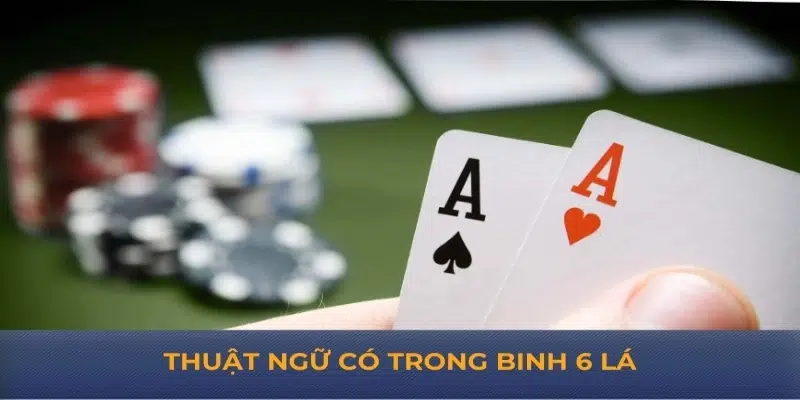 Thuật ngữ có trong binh 6 lá